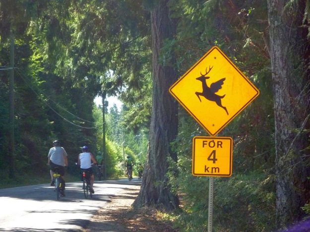 You never know what you might find along the way: road sign on Denman Island, BC